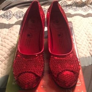 Dorothy Ruby Slippers